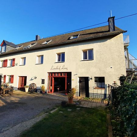 Landhof Lieg - Tierische Auszeit In Unseren Gemuetlichen Ferienwohnungen Zewnętrze zdjęcie