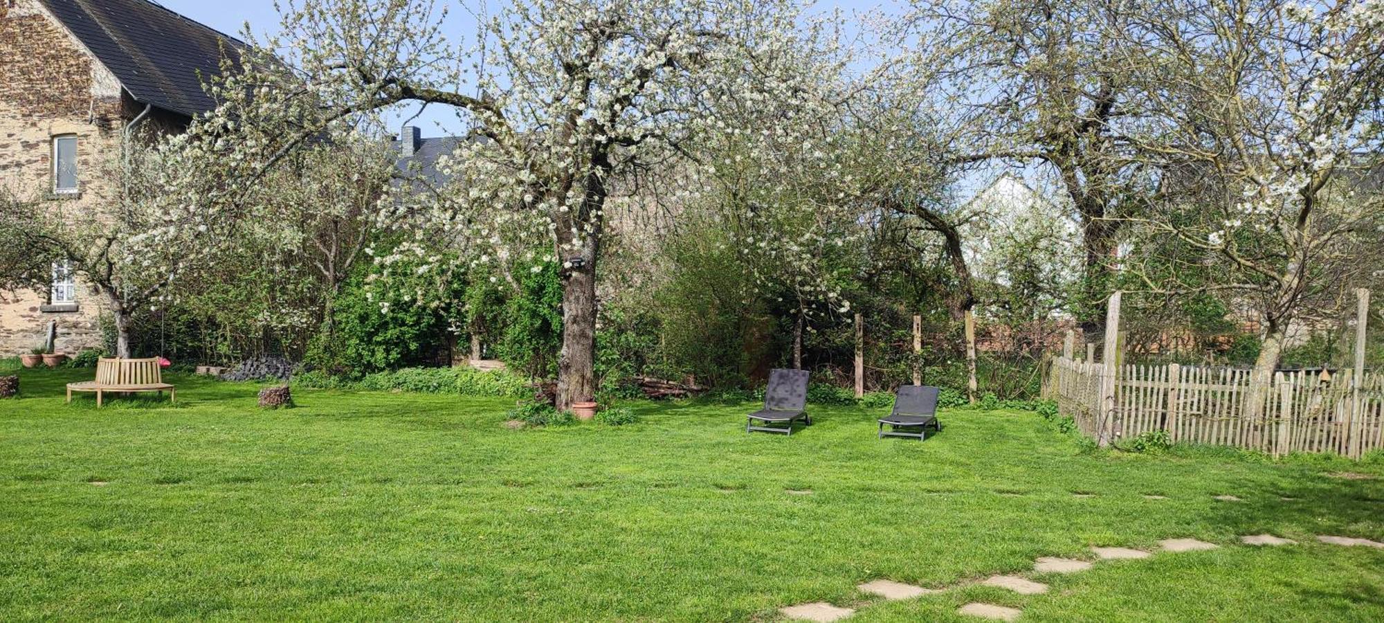 Landhof Lieg - Tierische Auszeit In Unseren Gemuetlichen Ferienwohnungen Zewnętrze zdjęcie