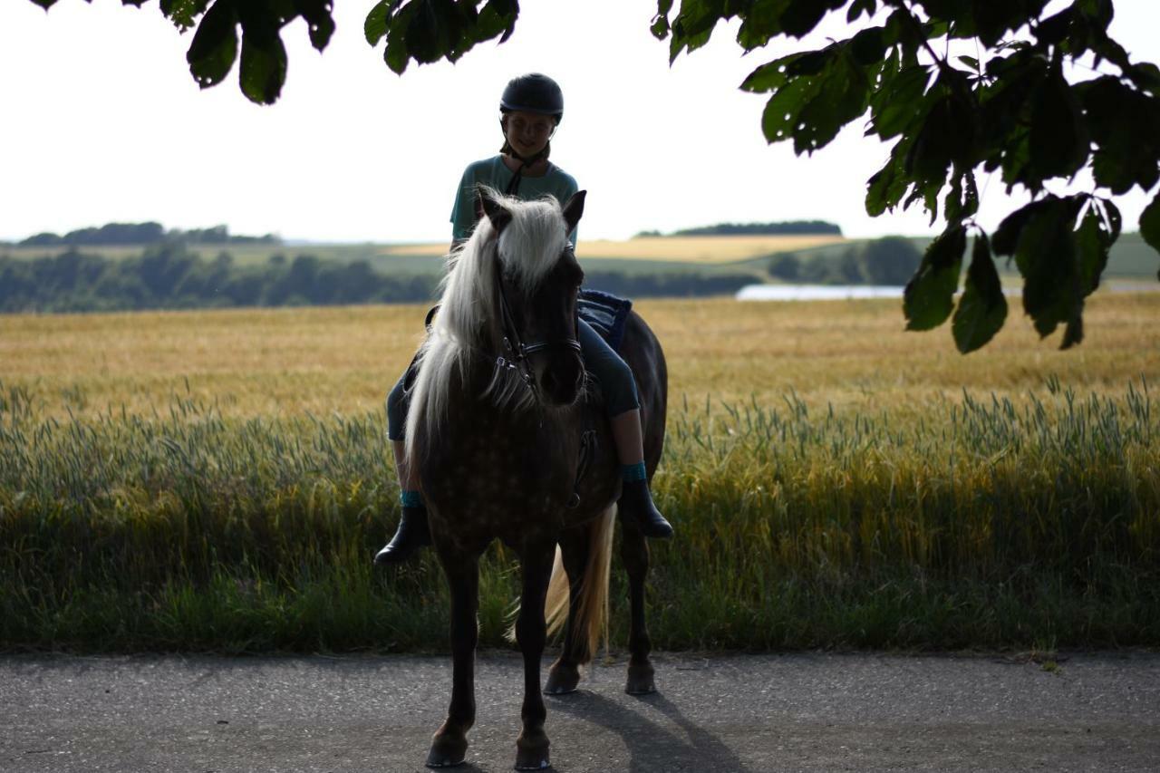 Landhof Lieg - Tierische Auszeit In Unseren Gemuetlichen Ferienwohnungen Zewnętrze zdjęcie