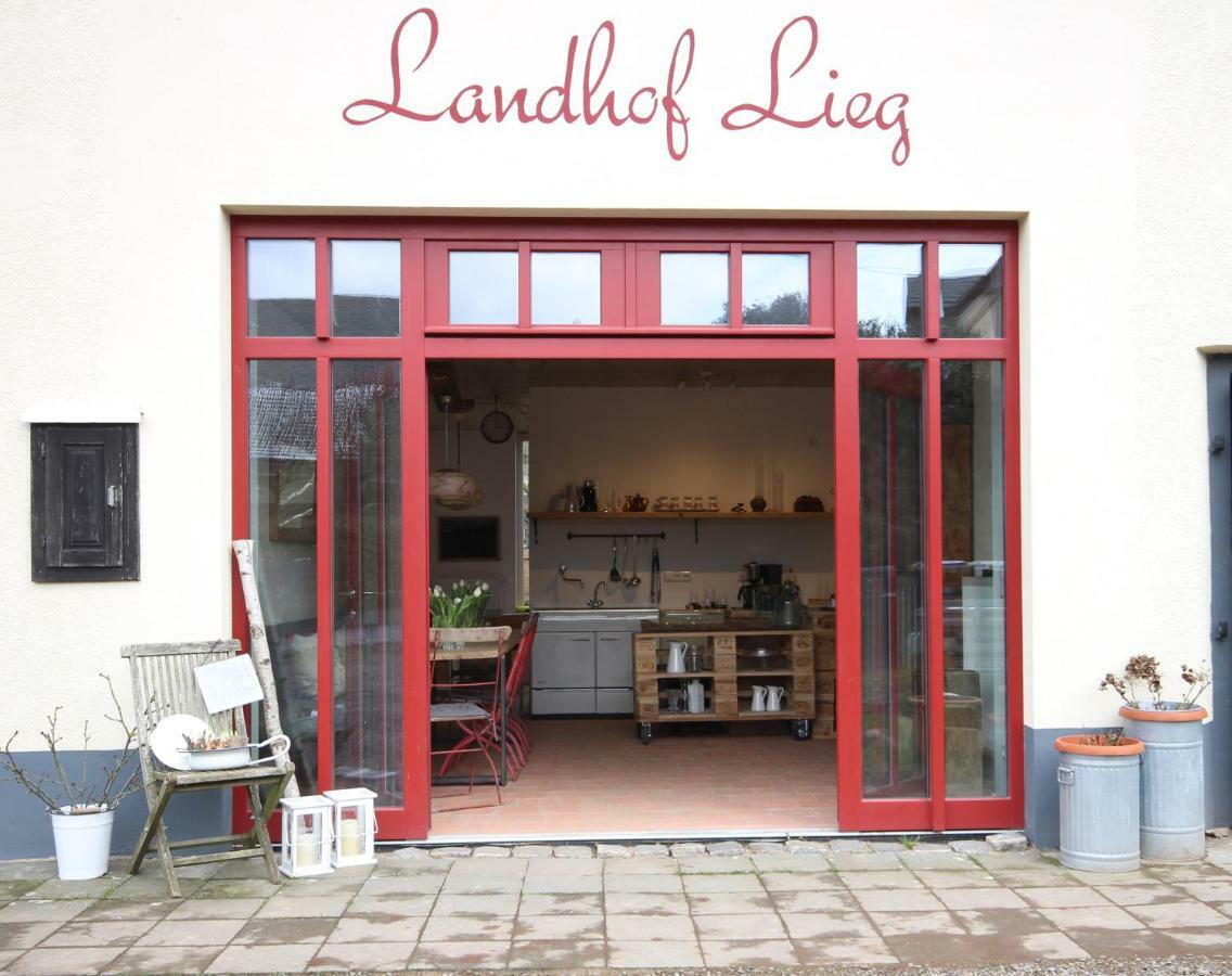 Landhof Lieg - Tierische Auszeit In Unseren Gemuetlichen Ferienwohnungen Zewnętrze zdjęcie