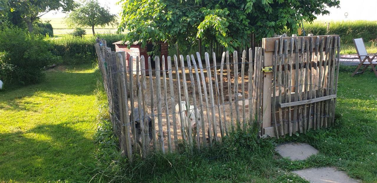 Landhof Lieg - Tierische Auszeit In Unseren Gemuetlichen Ferienwohnungen Zewnętrze zdjęcie